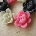 6PCS - Mini Lotus Flower Ca..
