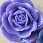3PCS - Lilac, Lavender and ..