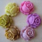 6PCS - Mixed Yellows and Pi..